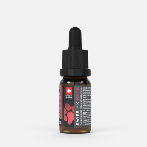 CBD Oil for Dogs 10% Beef Flavor