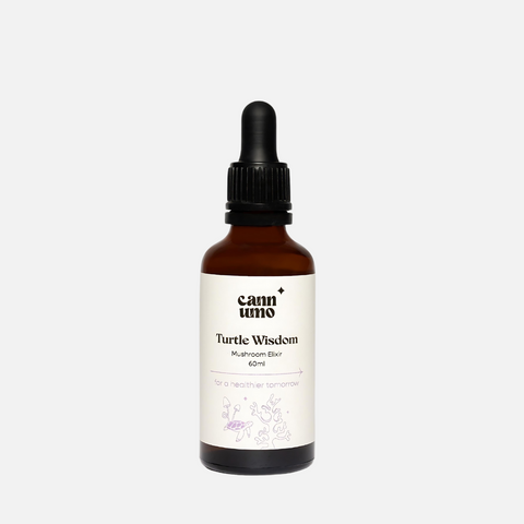 "Turtle Wisdom" Mushroom Tincture