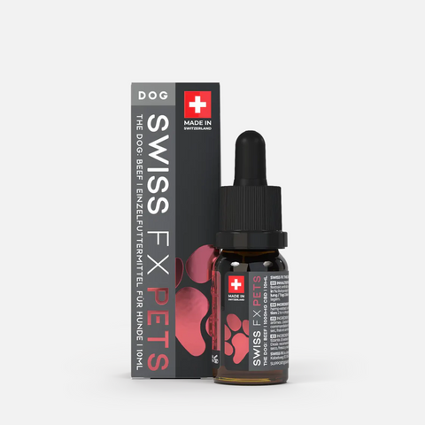 CBD Oil for Dogs 10% Beef Flavor