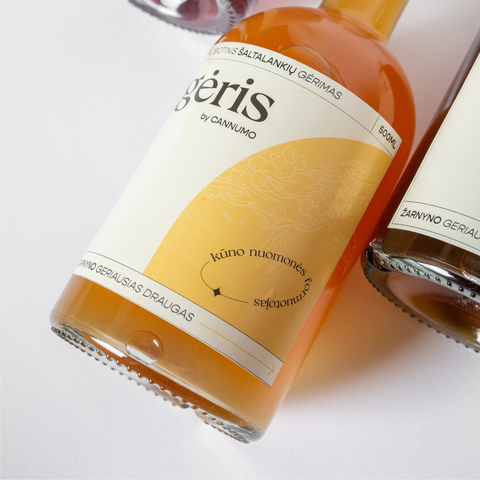 GĖRIS - Fermented Sea Buckthorn Drink